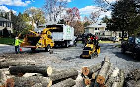 Best Tree Preservation Services  in Cuba, MO